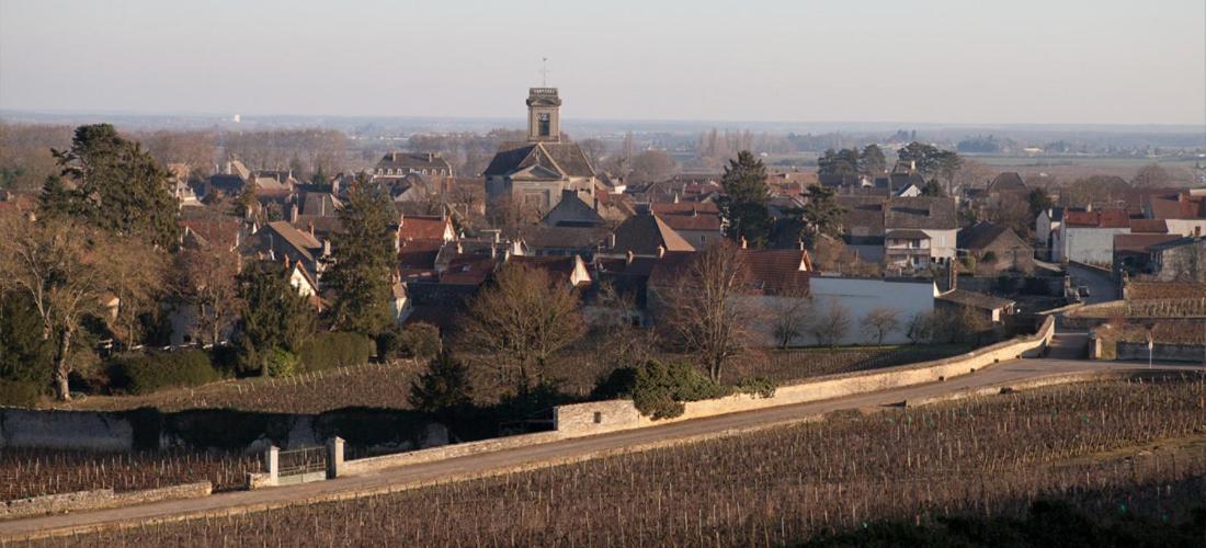 مبيت وإفطار بومارد Domaine Violot-Guillemard المظهر الخارجي الصورة